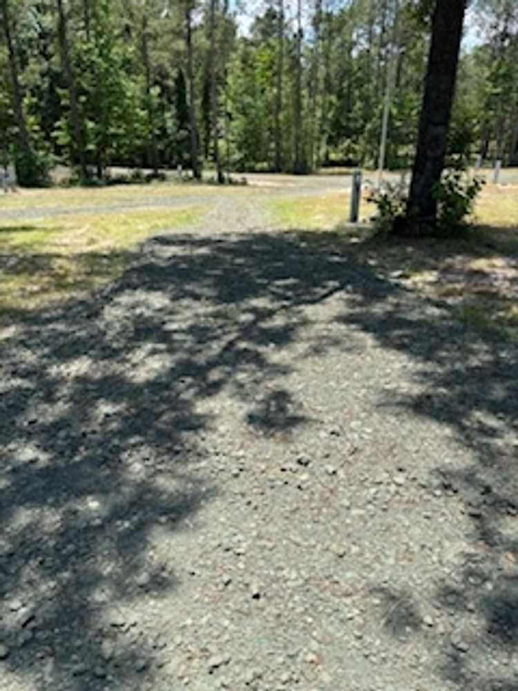 Crankbait Cove RV Park photo 1