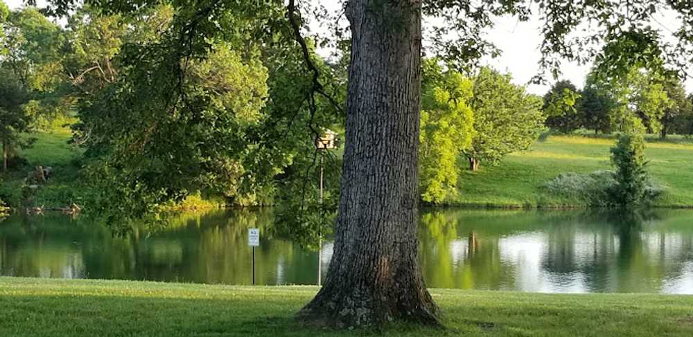Little Patch of Heaven Campground photo 1