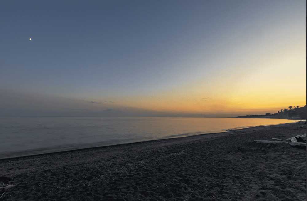 Bee Line Park photo 1