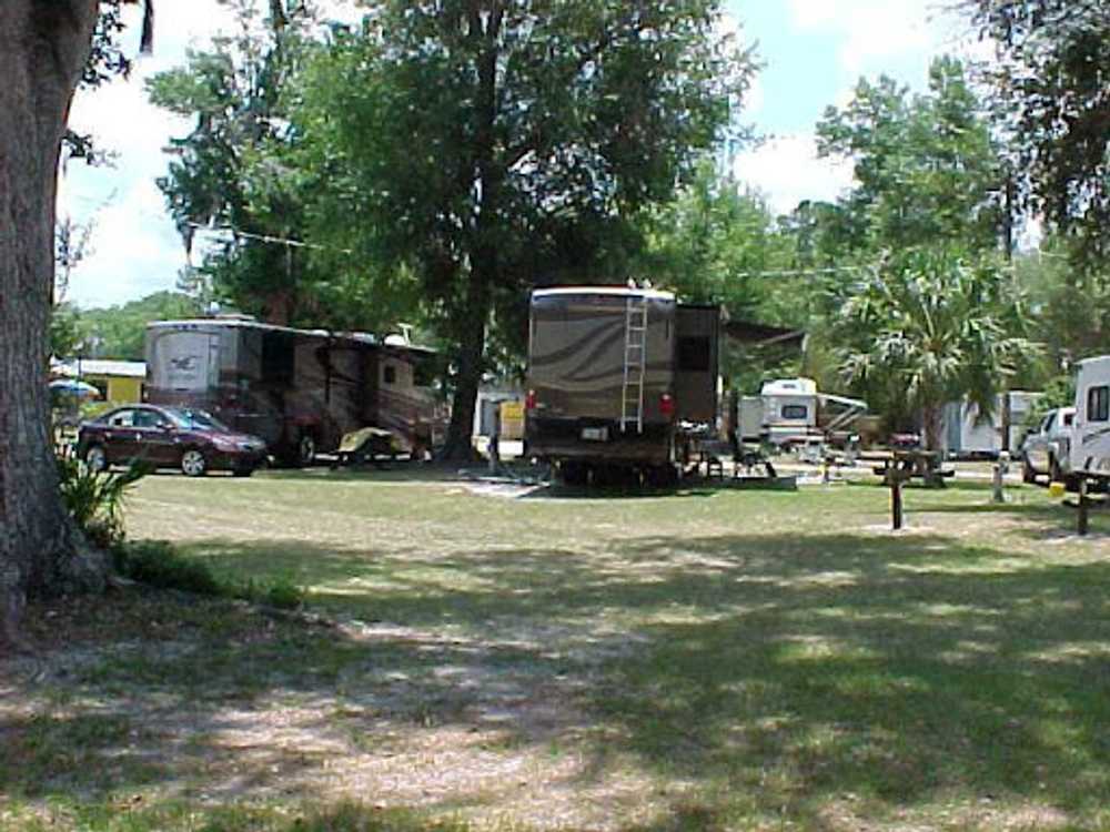 Shady Banks RV Resort photo 1