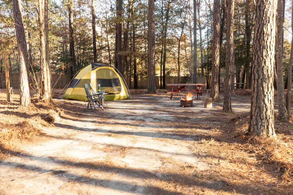 Sparta Pines RV & Campground photo 1