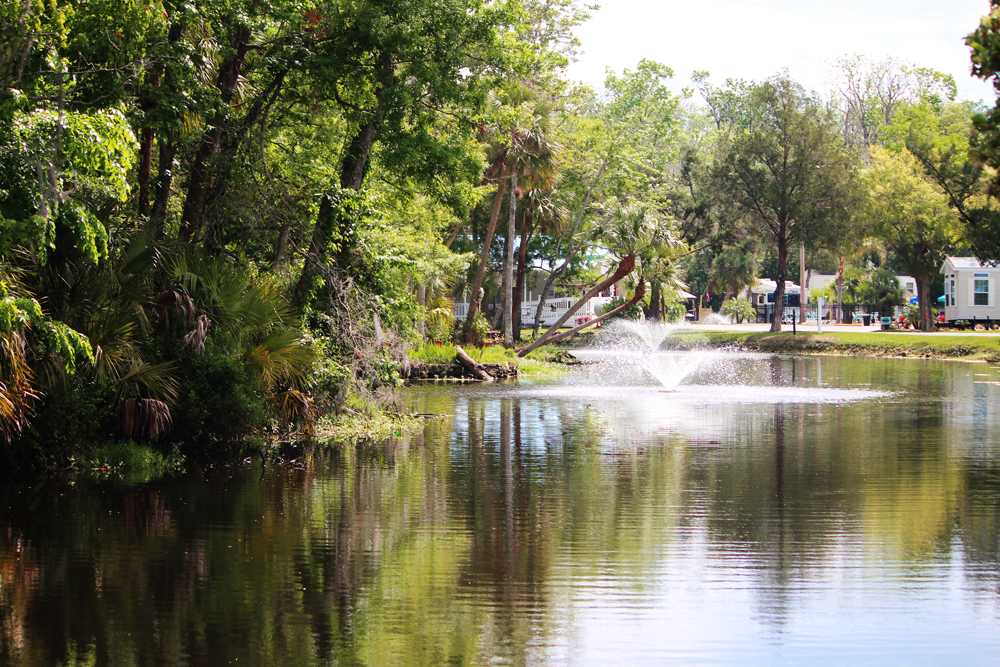HRR Sun Retreats Homosassa River photo 1